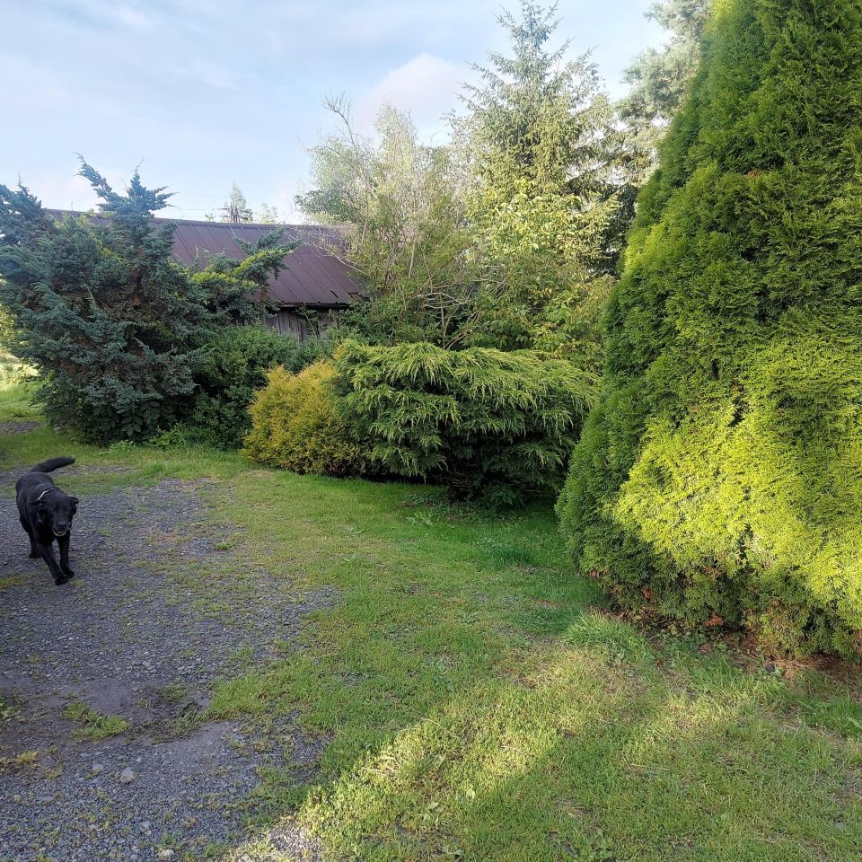 dom wolnostojący, 3 pokoje Proszowa. Zdjęcie 17