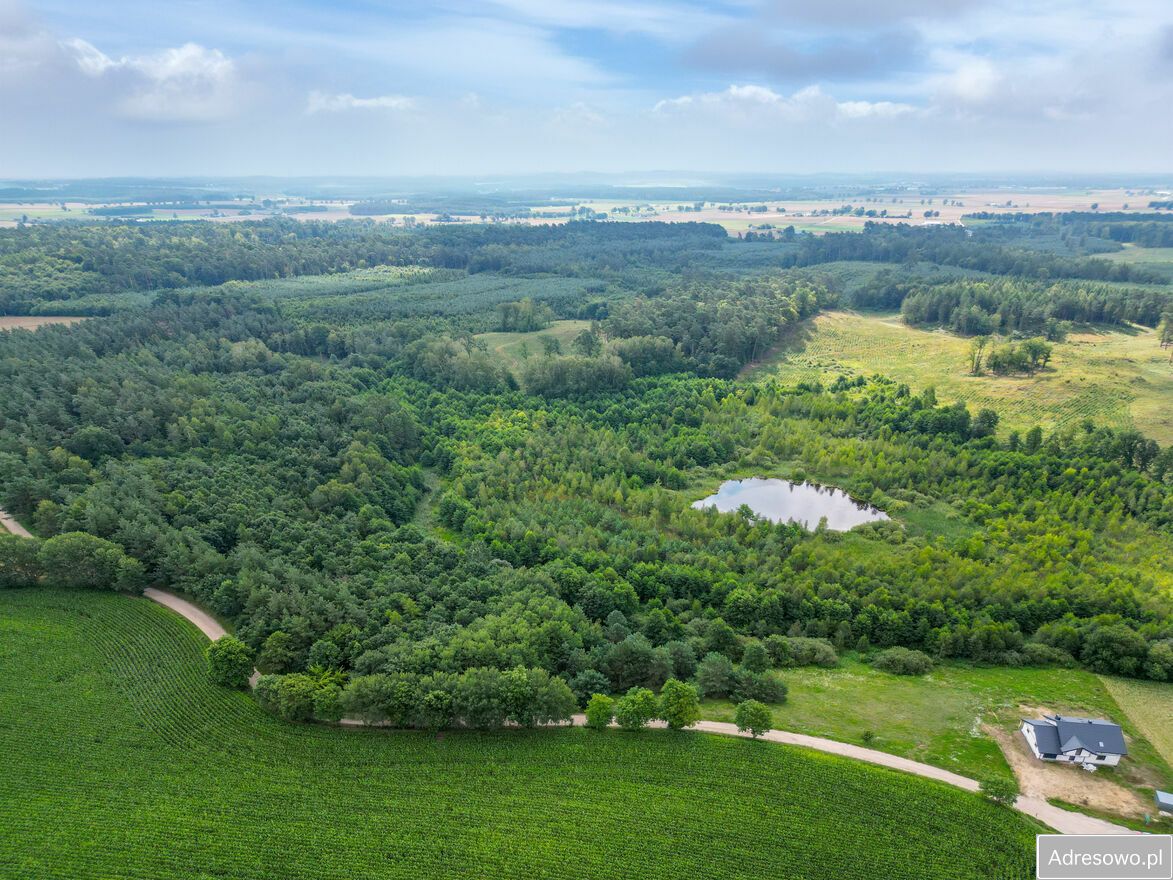 Działka rolno-budowlana Lorki. Zdjęcie 13