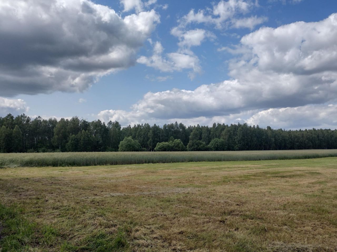 Działka rolno-budowlana Wólka Kałuska. Zdjęcie 3