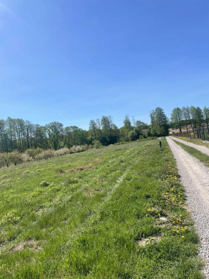 Działka budowlana Janówek, ul. Modrzewiowa. Zdjęcie 8