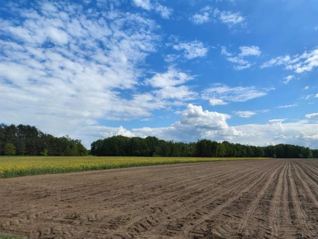 Działka Zembry. Zdjęcie 1