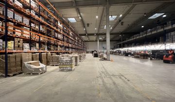 Hala/magazyn Kraków, ul. Rybitwy