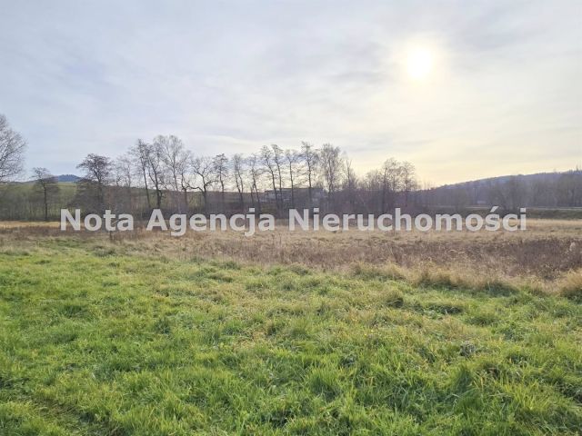 Działka inwestycyjna Jabłów. Zdjęcie 8