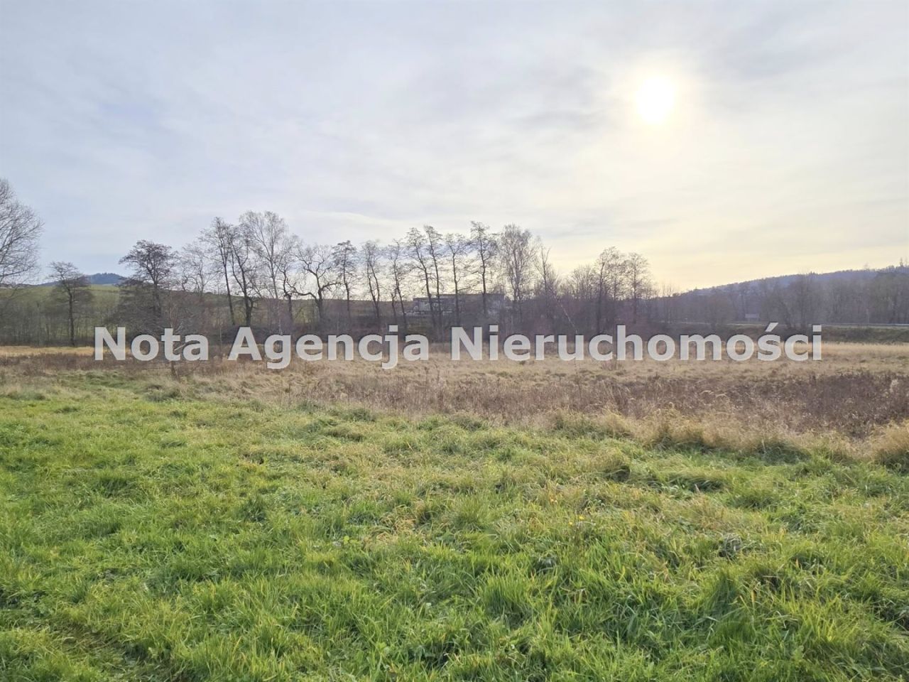 Działka inwestycyjna Jabłów. Zdjęcie 8