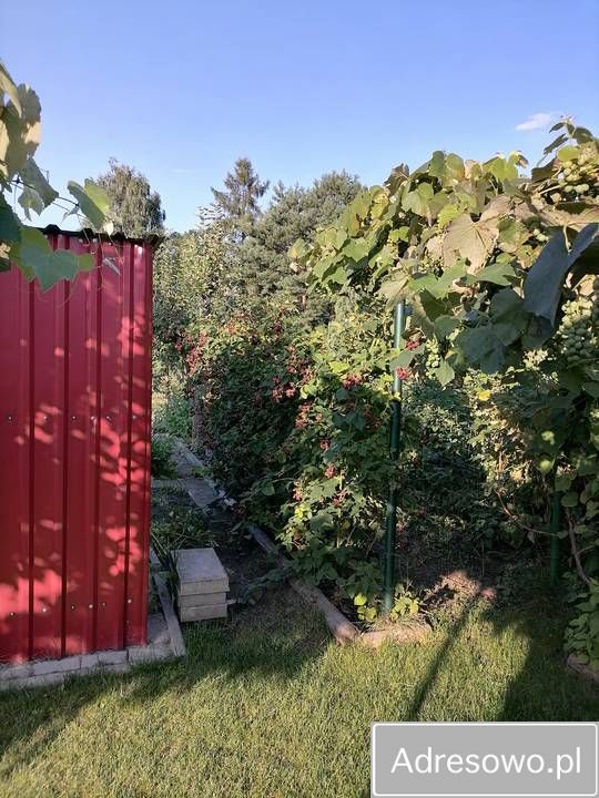 Działka rod Wrocław Księże Małe, ul. Świątnicka. Zdjęcie 8