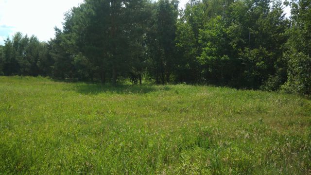 Działka rolno-budowlana Korzeń Królewski. Zdjęcie 1