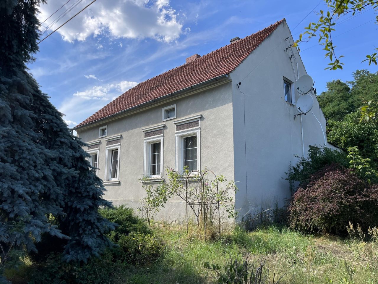 gospodarstwo, 5 pokoi Krosno Odrzańskie, ul. Wiejska. Zdjęcie 11