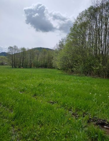 Działka budowlana Pisarzowice. Zdjęcie 1