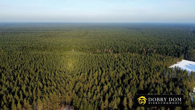 Działka budowlana Serski Las. Zdjęcie 17
