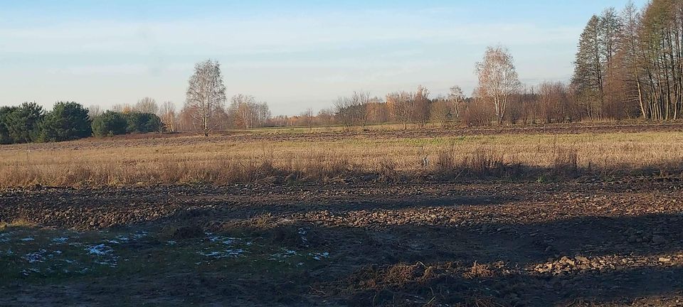 Działka budowlana Bobrowniki Osada Młyńska. Zdjęcie 14