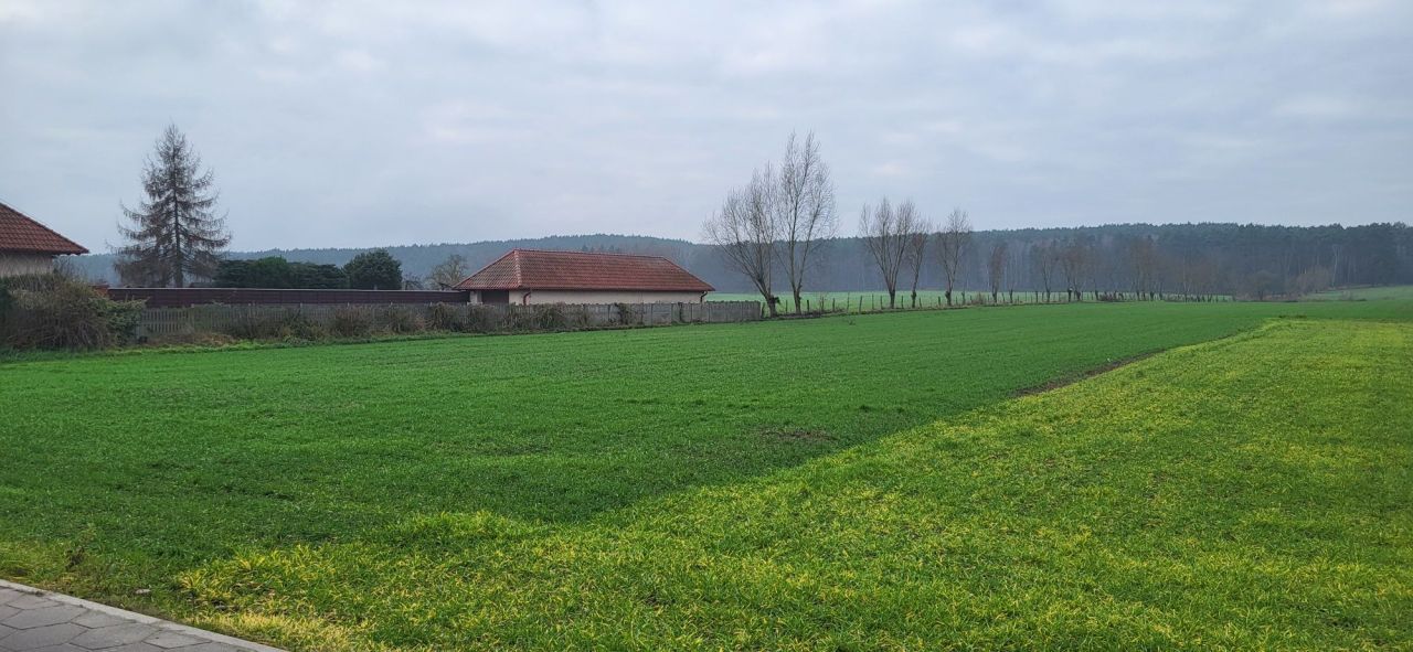 Działka rolno-budowlana Trzebania. Zdjęcie 2