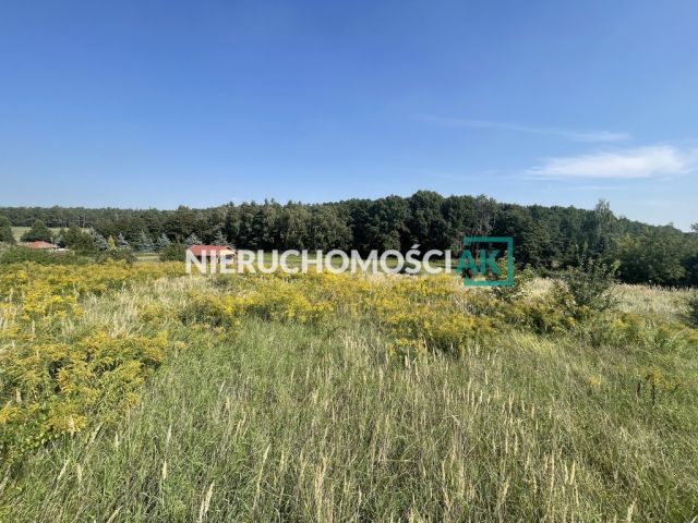 Działka budowlana Dębienko. Zdjęcie 2