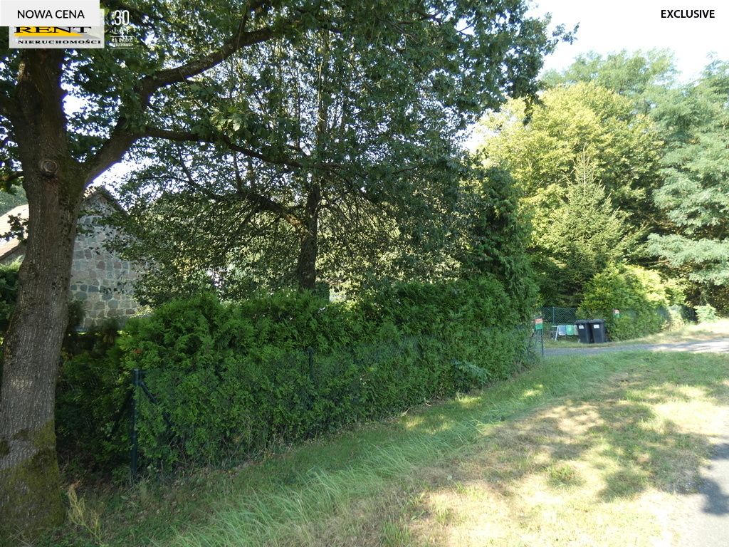 Działka inwestycyjna Tarnówko. Zdjęcie 4