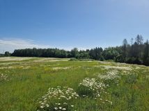 Działka budowlana Kozia Góra, ul. Żniwna. Zdjęcie 2