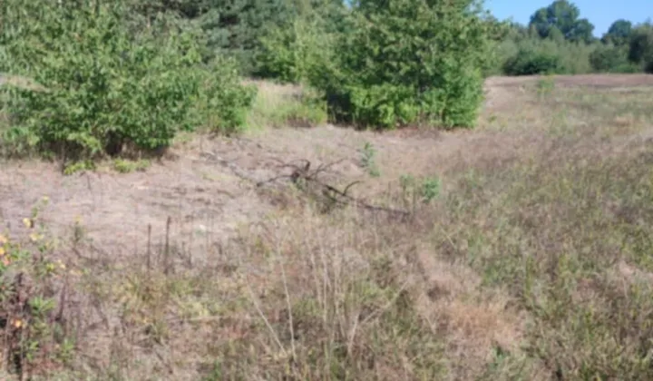 Działka budowlana Pysznica, ul. Wrzosowa