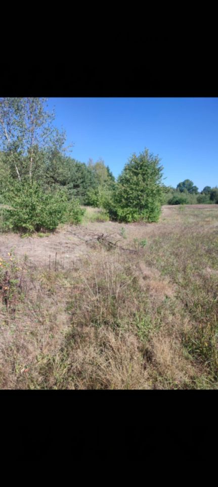 Działka budowlana Pysznica, ul. Wrzosowa