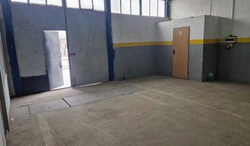 Hala/magazyn Strzegom