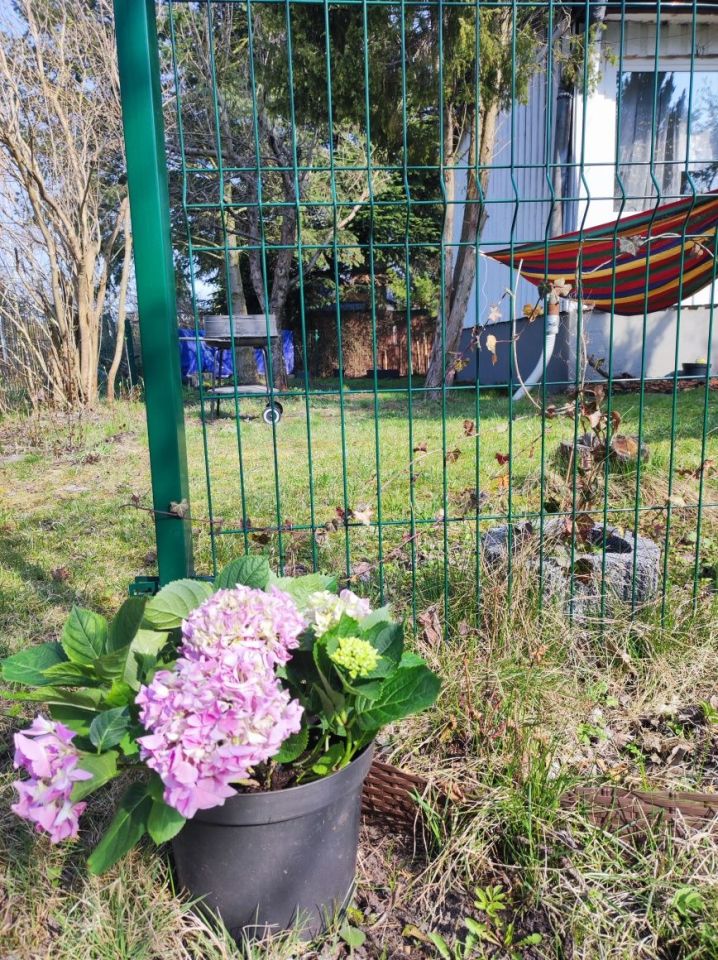 Działka rod Łódź Polesie, ul. Krakowska. Zdjęcie 5