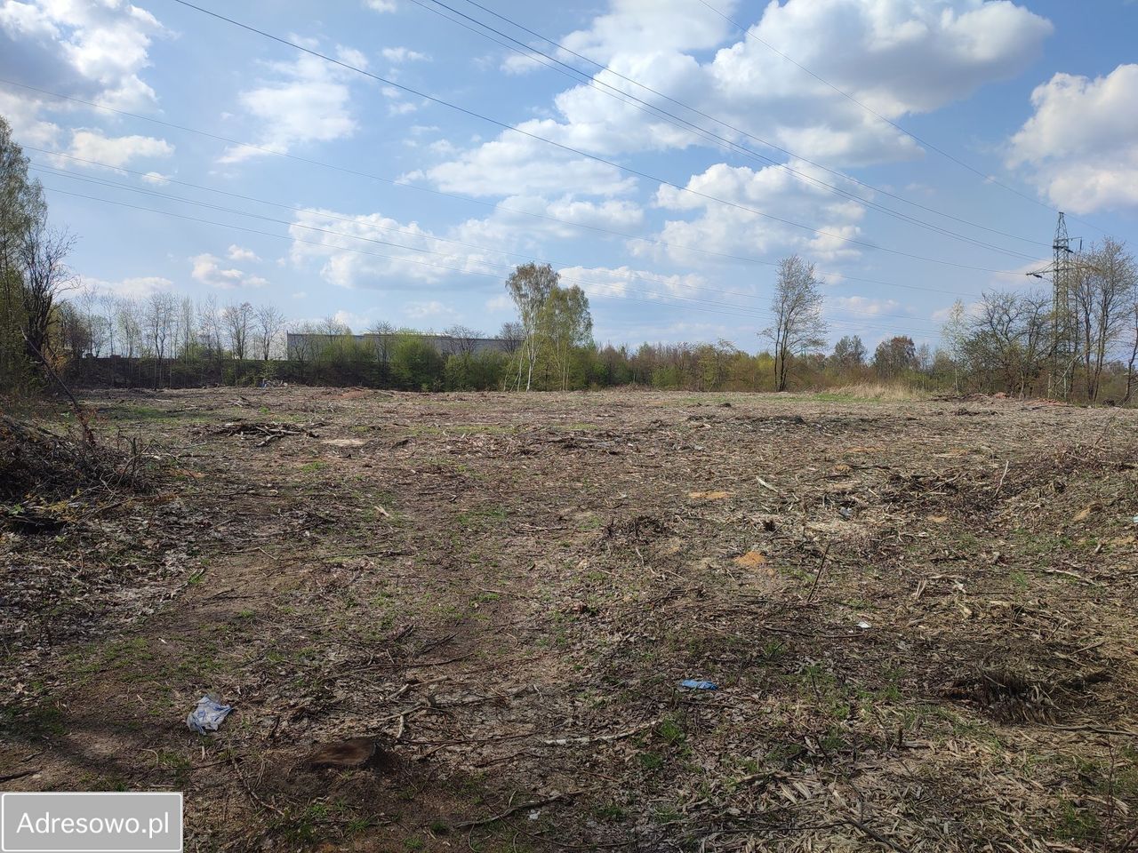 Działka inwestycyjna Rybnik Śródmieście, ul. Prosta. Zdjęcie 1