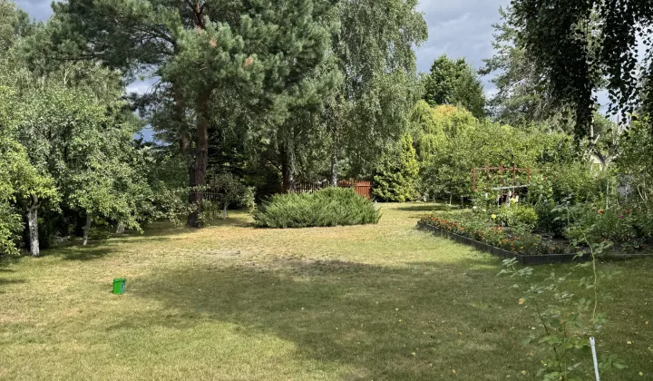 Działka rod Turka, Turka