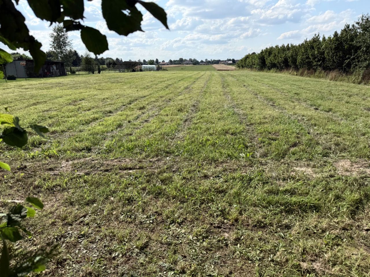 Działka rolno-budowlana Witaniów. Zdjęcie 1