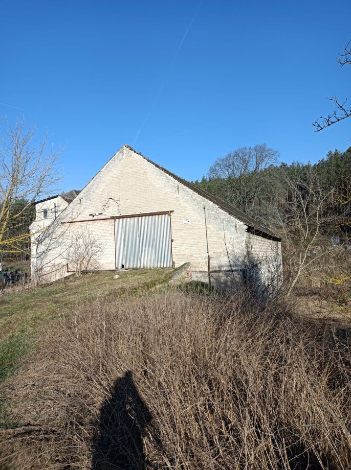 Działka rolna Bledzew Tymiana, ul. Tymiany. Zdjęcie 4