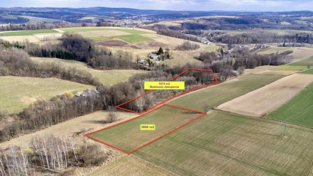 Działka budowlana Brzeziny. Zdjęcie 1