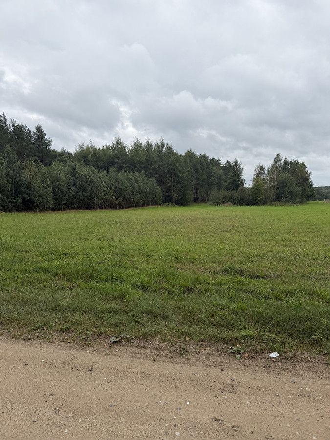 Działka rolno-budowlana Patryki. Zdjęcie 2