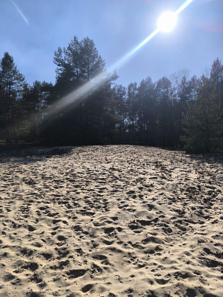 Działka budowlana Michałów-Reginów, ul. Piaskowa. Zdjęcie 5