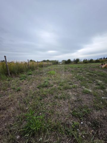 Działka budowlana Konstantów. Zdjęcie 9