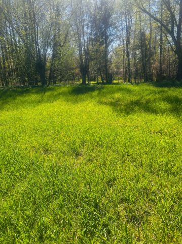 Działka rolna Zwierzyn. Zdjęcie 1