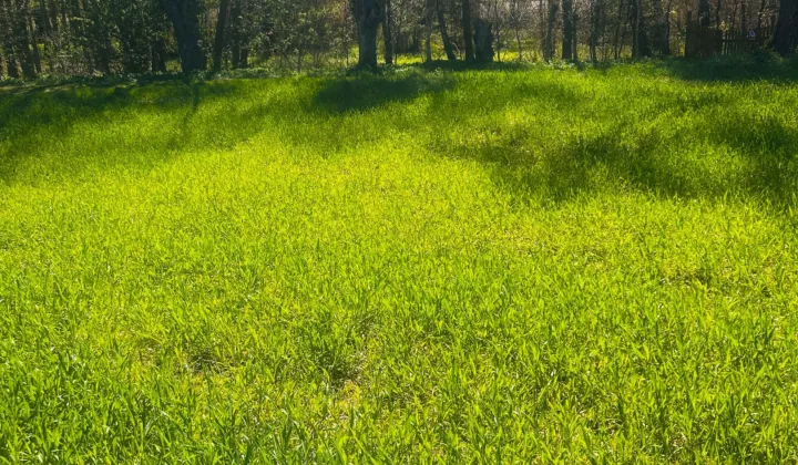 Działka rolna Zwierzyn