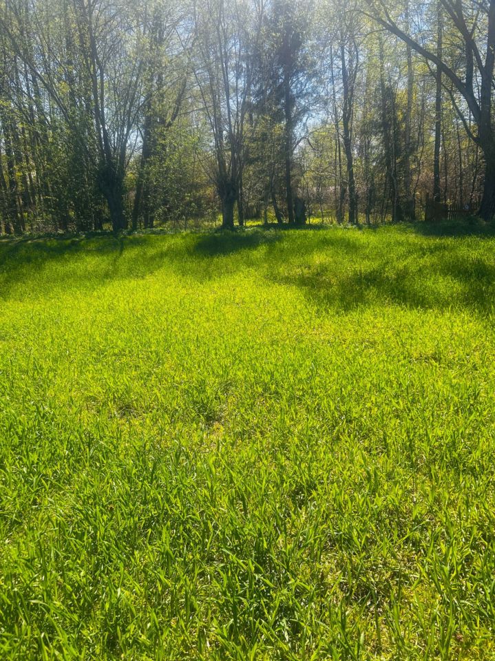 Działka rolna Zwierzyn. Zdjęcie 1