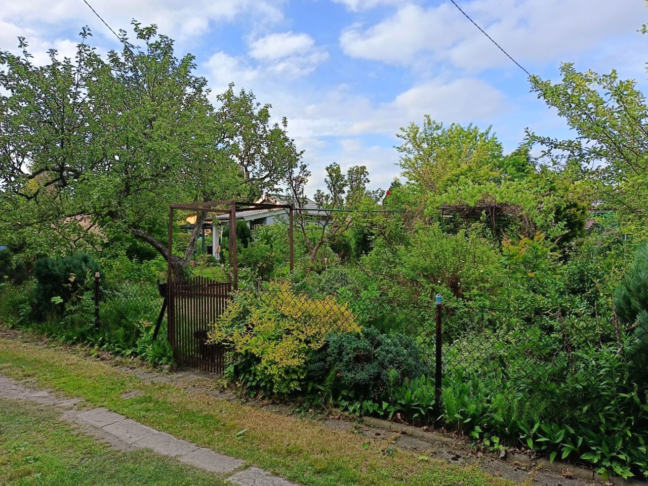 Działka rod Łódź Chojny. Zdjęcie 2