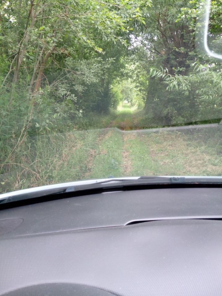 Działka rolna Nowe Ręczaje. Zdjęcie 2