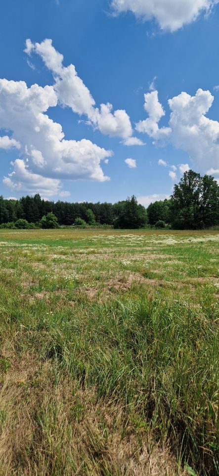 Działka siedliskowa Bukowinka. Zdjęcie 4