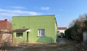 Lokal Nysa, ul. Joachima Lelewela