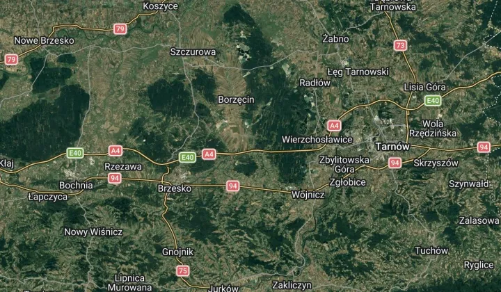 dom wolnostojący, 5 pokoi Bielcza