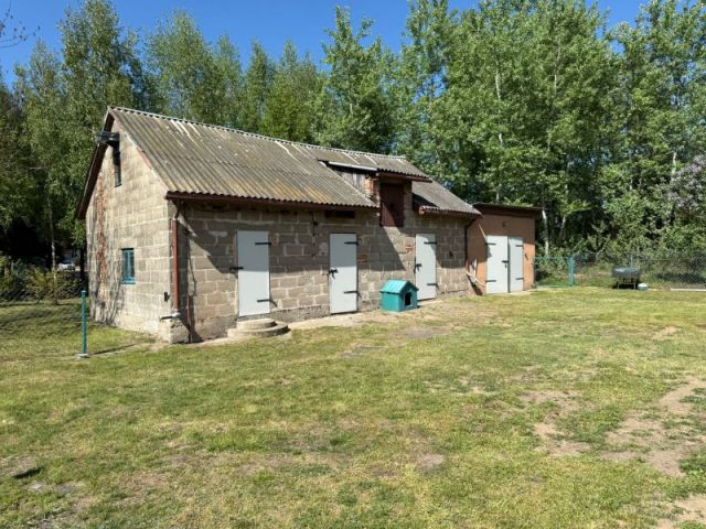 dom wolnostojący, 4 pokoje Gaśno. Zdjęcie 8