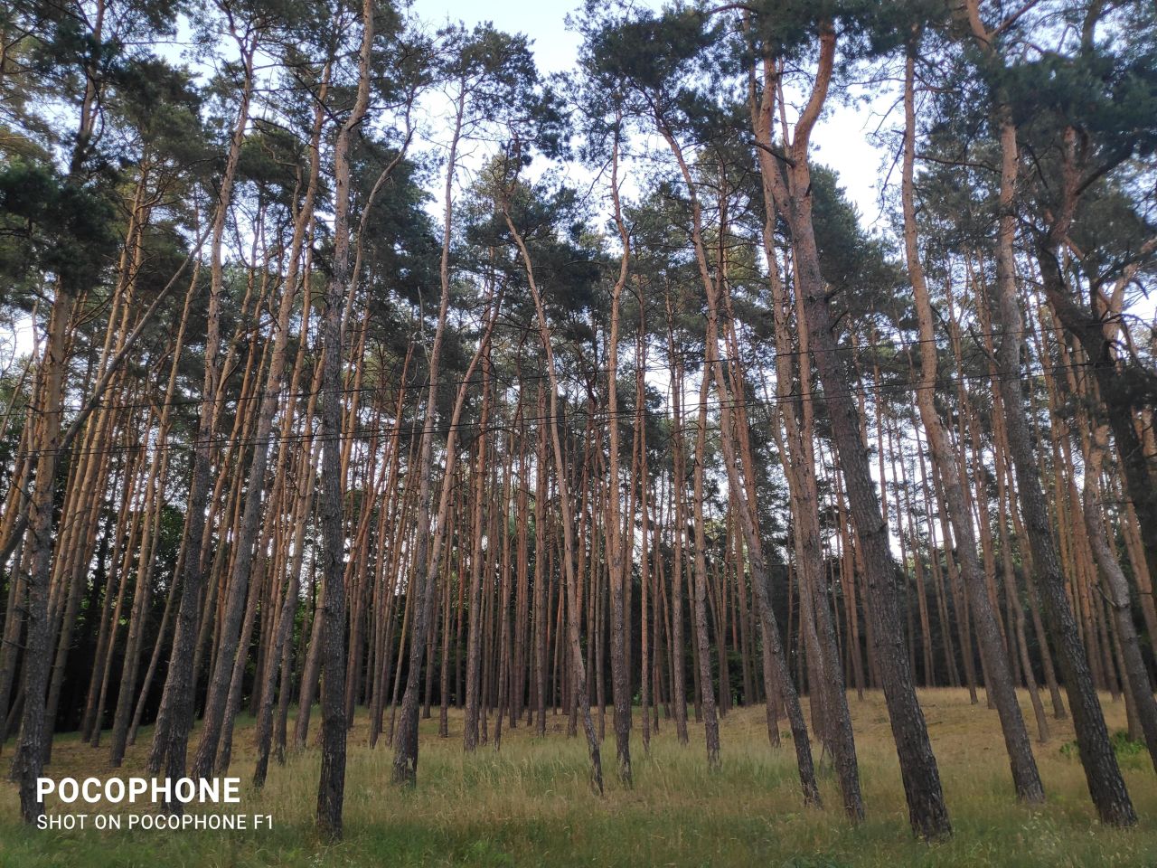 Działka leśna Ruda-Bugaj Bugaj. Zdjęcie 8