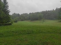 Działka siedliskowa Golcowa. Zdjęcie 1