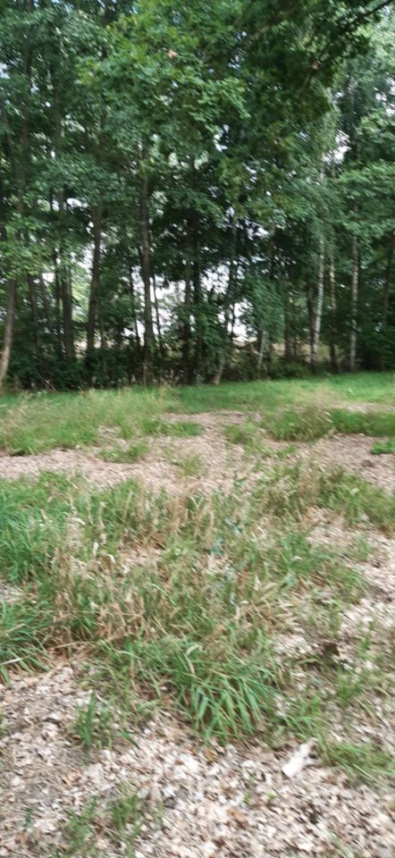 Działka rolna Panaszew. Zdjęcie 2