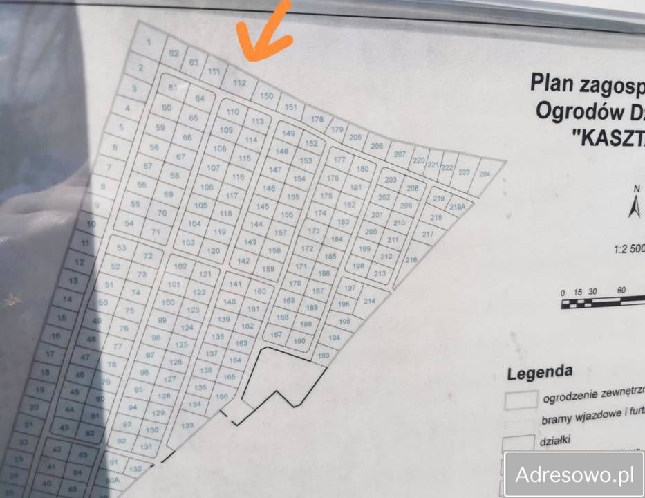 Działka rod Szczecin Załom, os. Kasztanowe. Zdjęcie 5