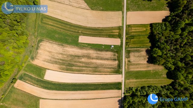 Działka Lipnica Dolna. Zdjęcie 7