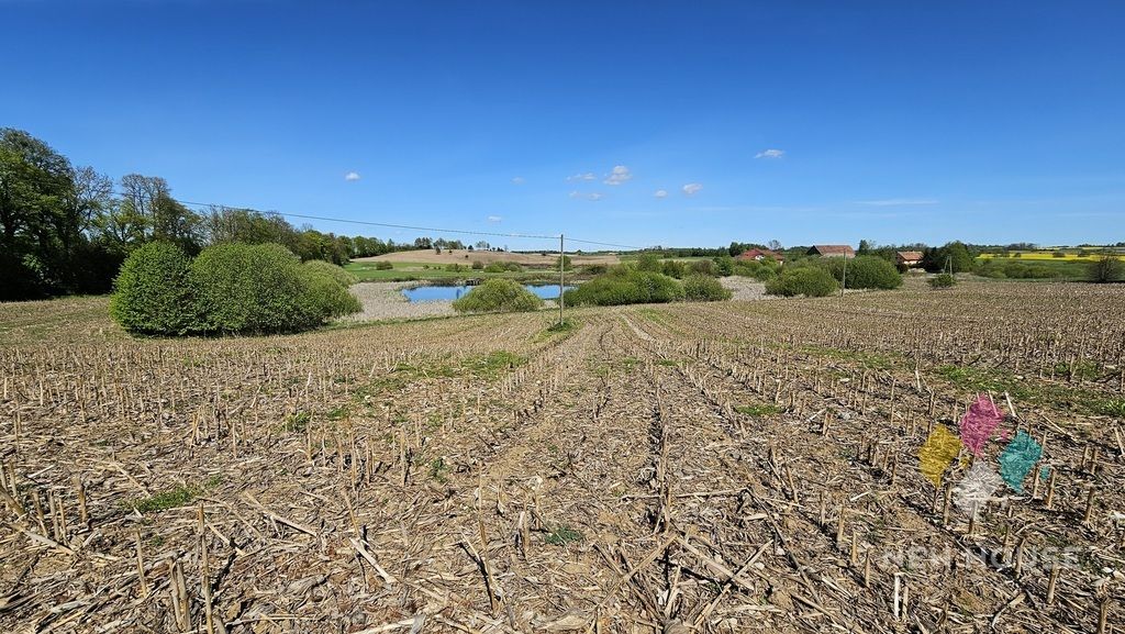 Działka siedliskowa Wilczkowo. Zdjęcie 8