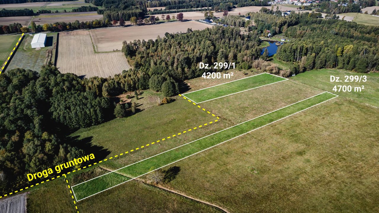 Działka rolna Żebrak. Zdjęcie 5