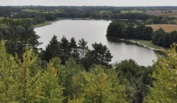 Działka rolna Zalec