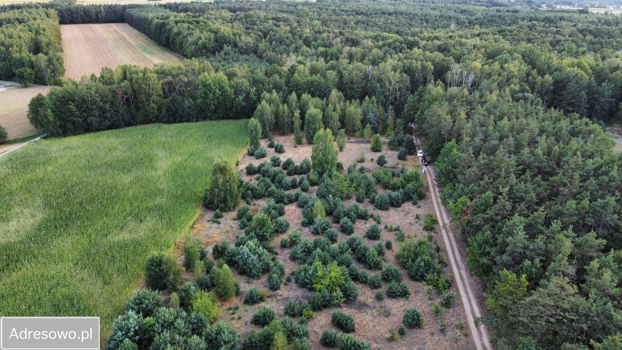 Działka budowlana Wojsławice. Zdjęcie 16