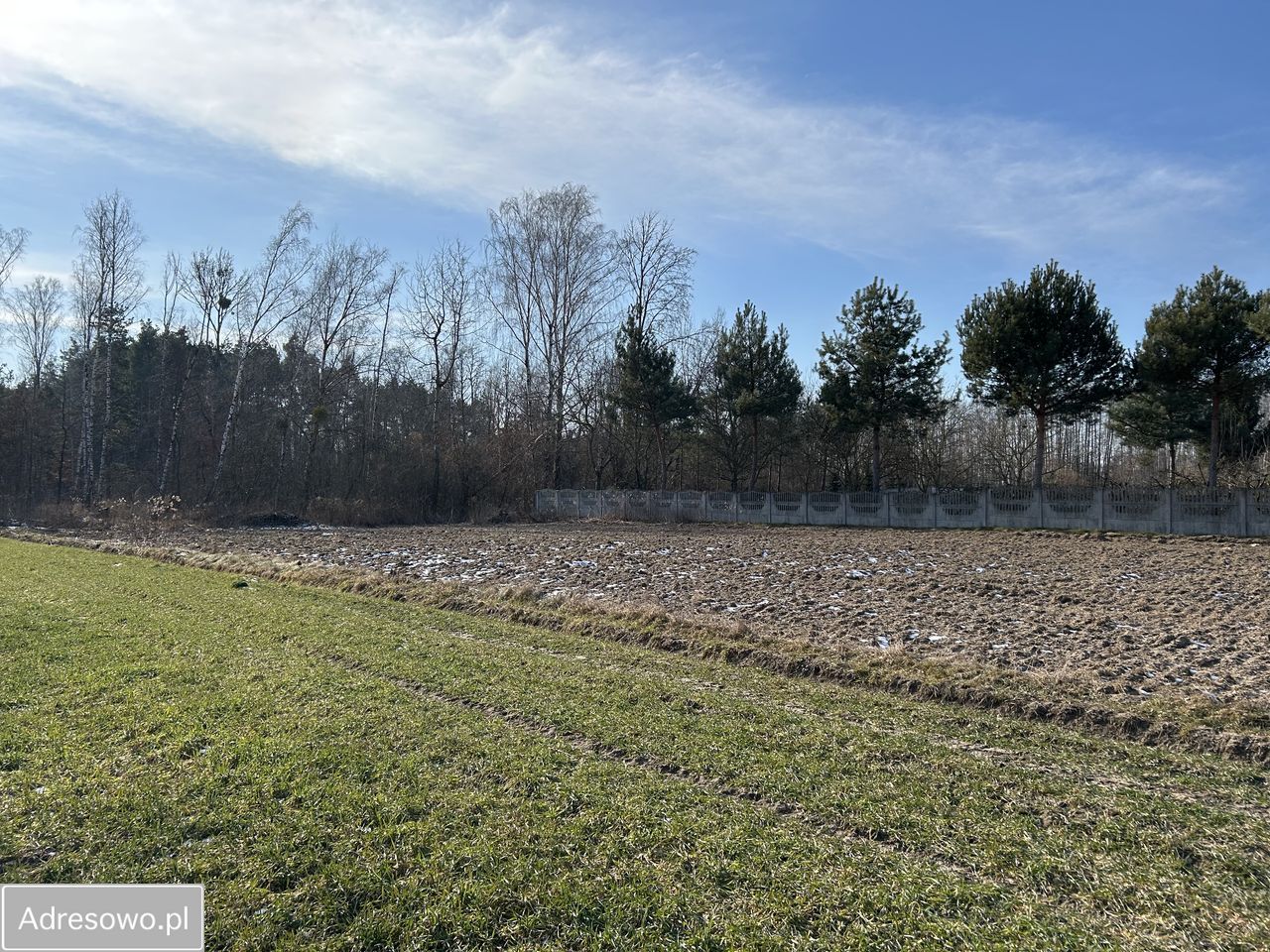 Działka rolno-budowlana Ciepielów-Kolonia. Zdjęcie 3