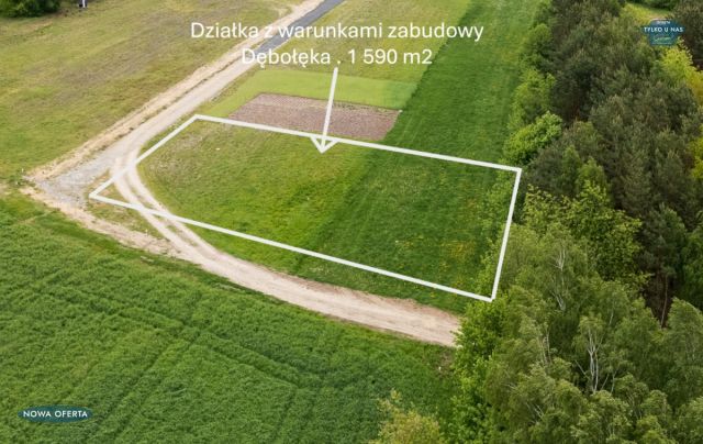 Działka budowlana Dębołęka. Zdjęcie 11